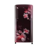 LG 190 Litres 4 Star Inverter Direct Cool Single Door Refrigerator