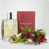 Burberry Classic Edt 100Ml-Men