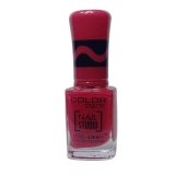 Color Code Nail Studio Professional Nail Paint