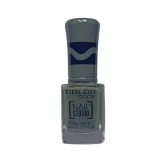 Color Code Nail Studio Professional Nail Paint