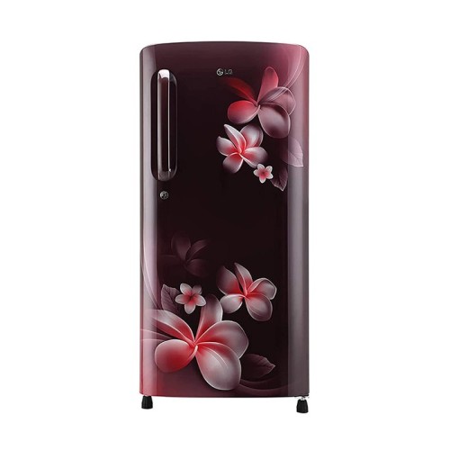 LG 190 Litres 4 Star Inverter Direct Cool Single Door Refrigerator